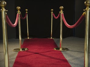 Rope barriers at red carpet event. Photo : Jamie Grill