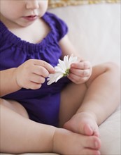 Little girl (20months) with daisy flower. Photo : Jamie Grill