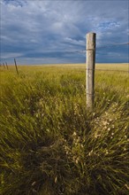 Fence in prairie grass.