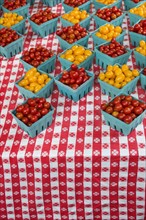 Boxes with cherry tomatoes on table.