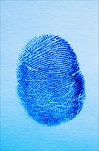 Close up of fingerprint on blue background.