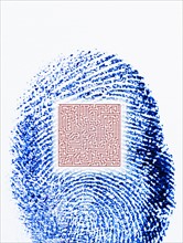 Close up of fingerprint with square pattern.