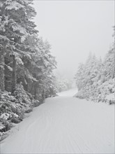 Ski slope. Photo : Johannes Kroemer