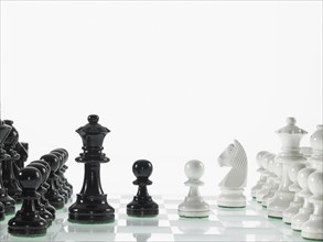 Black and white chess teams. Photo : David Arky