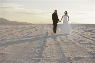 Bride and groom holding hands in desert. Photo : FBP