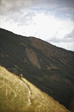 Man mountain biking on trail. Photo : Shawn O'Connor