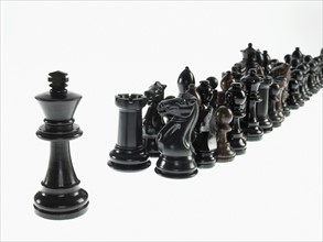 King leading black chess pieces. Photo : David Arky