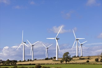 Wind turbines in field. Photo : Jon Boyes