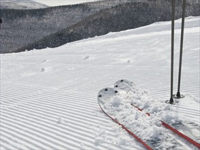 Skis on ski slope. Photo : Johannes Kroemer