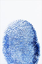 Close up of fingerprint on white background.