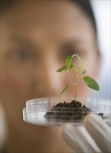 USA, New Jersey, Jersey City, Female scientist holding seedling in petri dish.