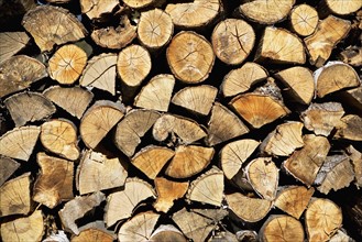 USA, Vermont, stack of firewood. Photo : fotog