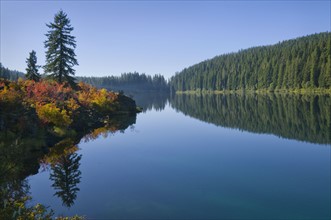 USA, Oregon, Clear Lake. Photo : Gary J Weathers
