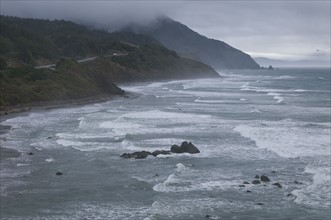 USA, Oregon, Coastline. Photo : Gary J Weathers