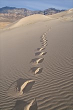 USA, California, Footprints of desert dune. Photo : Gary J Weathers