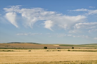 USA, Oregon, Clouds over wheat field. Photo : Gary J Weathers