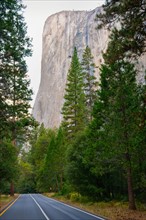 USA, California, Yosemite National Park, El Capitan. Photo : Gary J Weathers
