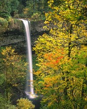 USA, Oregon, Silver Falls. Photo : Gary J Weathers