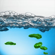 Close up of blue and green water surface with bubbles. Photo : David Arky