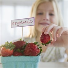 USA, New Jersey, Jersey City, Girl (8-9) eating organic strawberries. Photo : Jamie Grill