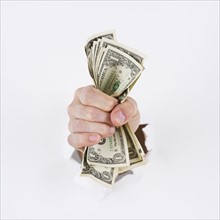 Hand on white background holding banknotes. Photo : Daniel Grill