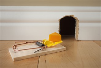 Mousetrap with cheese in front of mouse hole. Photo : Mike Kemp