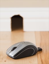 Computer mouse on floor in front of mouse hole. Photo : Mike Kemp