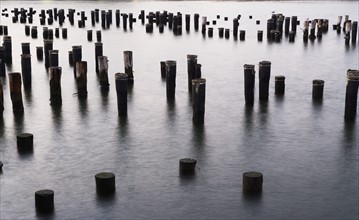 USA, New York City, old pier poles in sea. Photo : fotog