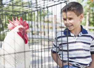 USA, New York, Flanders, Boy (8-9) standing in front of cage with rooster. Photo : Jamie Grill