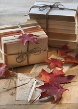 Autumn leaves on letter by books.