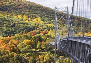 USA, New York, Bear Mountain, bridge in forest. Photo : fotog