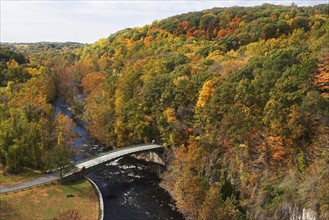 USA, New York, Croton, bridge in forest. Photo : fotog