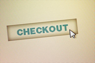 Curser by checkout icon on computer screen.
