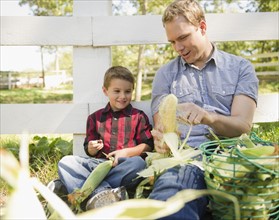 USA, New York, Flanders, Father with son (8-9) husking corns. Photo : Jamie Grill Photography