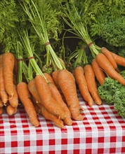 USA, New York, New York City, Bunches of carrots on farmer's market.