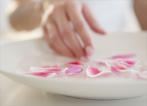 USA, New Jersey, Jersey City, Close-up view of woman's hand arranging petails on plate. Photo :