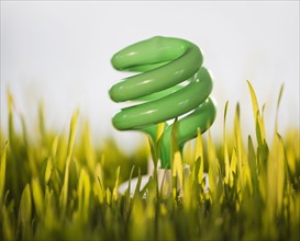 USA, New Jersey, Jersey City, Close-up view of energy efficient bulb sticking out of grass. Photo :