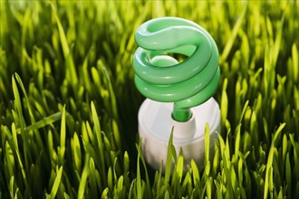 USA, New Jersey, Jersey City, Close-up view of energy efficient bulb sticking out of grass. Photo :
