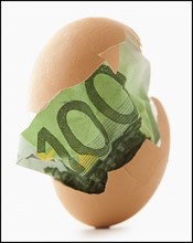 One hundred euro note in eggshell. Photo : Mike Kemp
