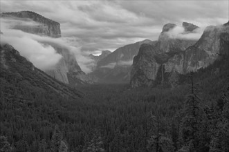 USA, California, Mariposa County, Yosemite Valley. Photo : Gary J Weathers