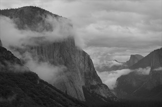 USA, California, Yosemite National Park, El Capitan. Photo : Gary J Weathers
