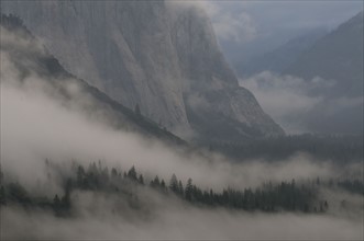 USA, California, Yosemite National Park, Mist in valley. Photo : Gary J Weathers