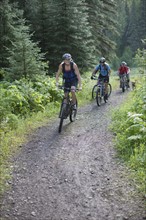Canada, British Columbia, Fernie, group of five people enjoying mountain biking. Photo : Dan