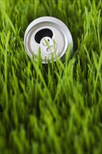 USA, New Jersey, Jersey City, Close-up view tin can in grass. Photo : Daniel Grill