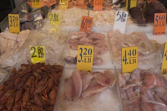 USA, New York City, market stall with seafood. Photo : fotog
