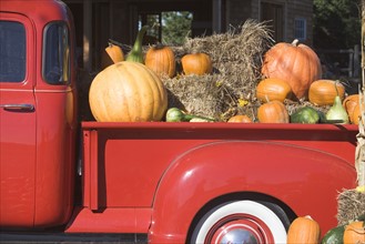 USA, New York, Peconic, pickup truck loaded with pumpkins. Photo : fotog