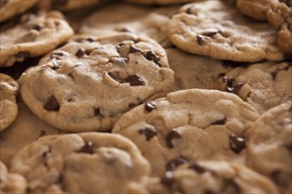 Chocolate cookies. Photo : Mike Kemp