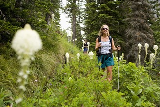 USA, Montana, Glacier National Park, Two mid adult women hiking. Photo : Noah Clayton