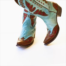 Pair of cowboy shoes.