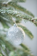 Christmas bauble on tree.